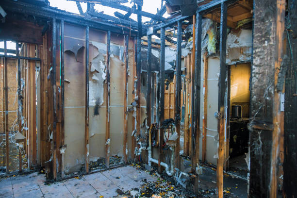Professional Fire Damage Assessment technician working in South Wallins, KY
